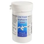 Lactase 4000 IE Enzyme 80St