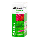 Echinacin Madaus Saft 100ml